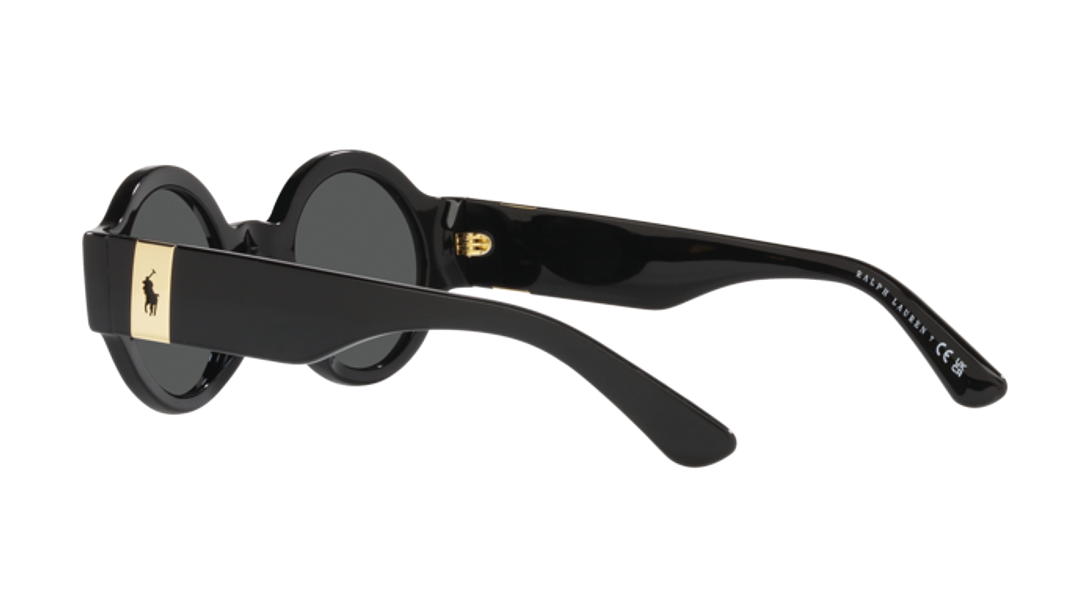 Polo Ralph Lauren PH4190U 4