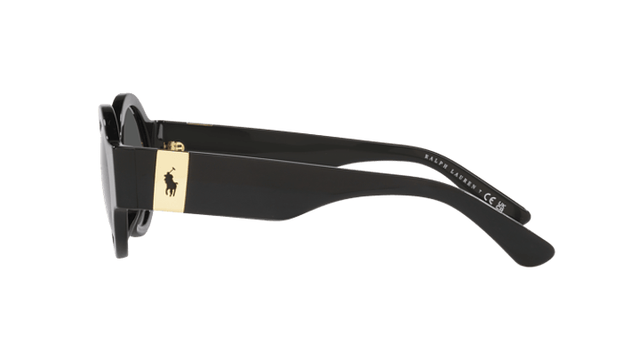 Polo Ralph Lauren PH4190U 3