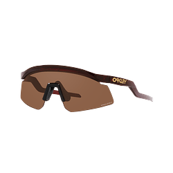 Oakley Hydra