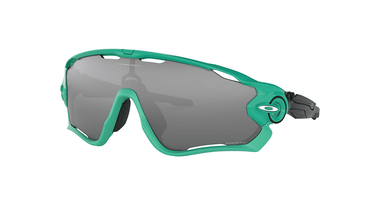 Oakley Jawbreaker Prizm 1