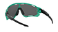 Oakley Jawbreaker Prizm - Miniatura 5