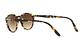 Persol PO3092SM - Miniatura 4