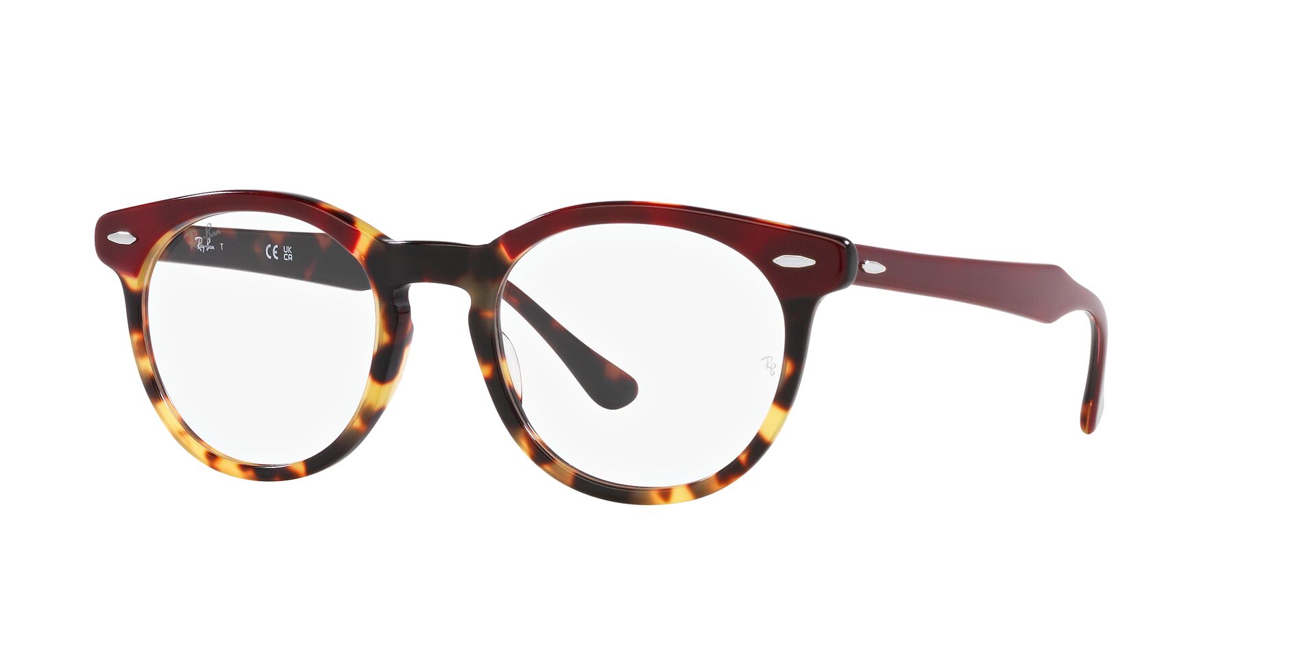 レイバン Ray-Ban EAGLEEYE 5598 Eagleeye