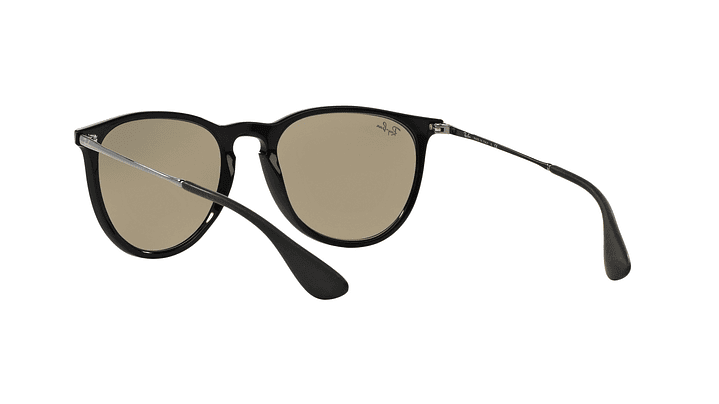 Ray-Ban Erika 5