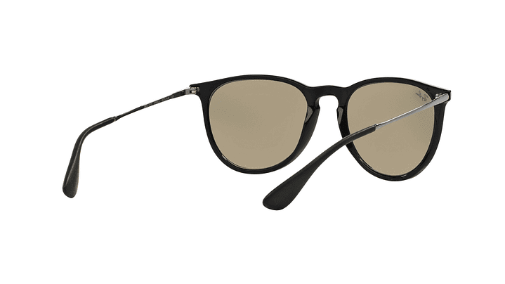 Ray-Ban Erika 7