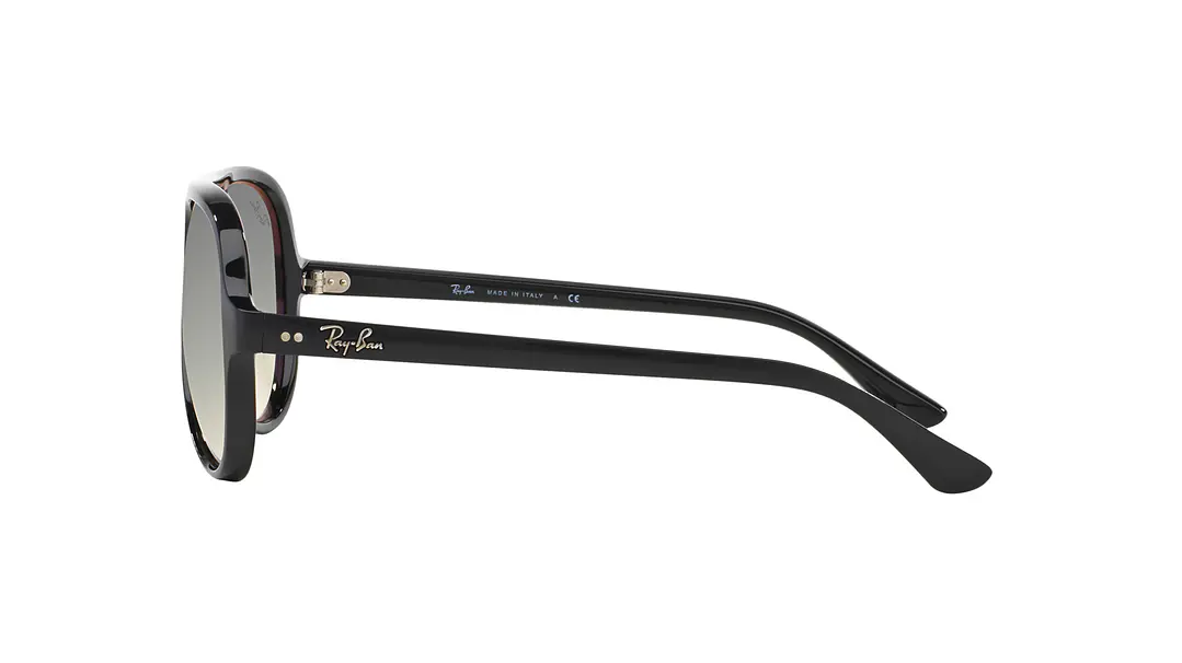 Ray-Ban Cats 5000 3