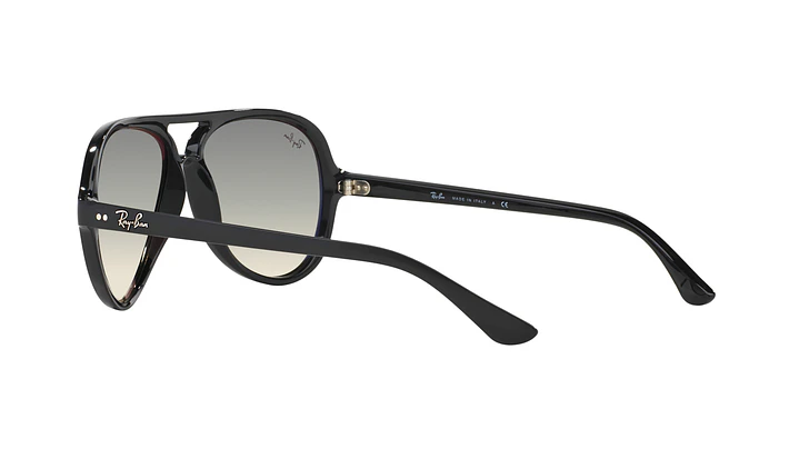Ray-Ban Cats 5000 4