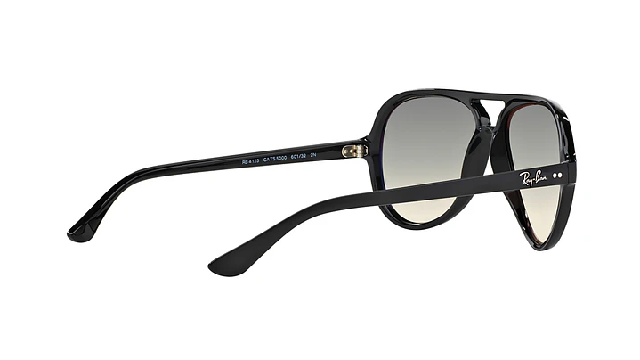 Ray-Ban Cats 5000 8