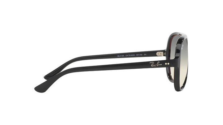 Ray-Ban Cats 5000 9