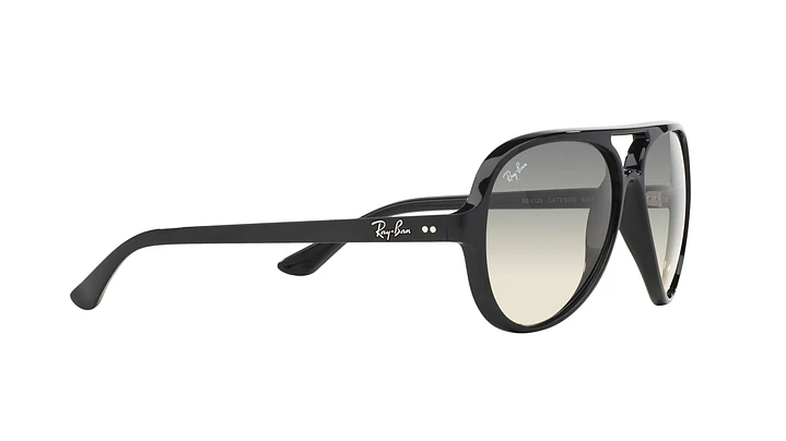 Ray-Ban Cats 5000 10