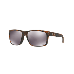 Oakley Holbrook Prizm