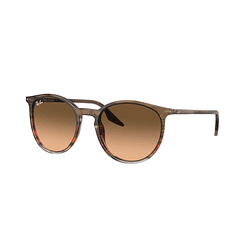 Ray-Ban RB2204