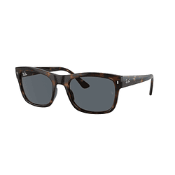 Ray-Ban RB4428