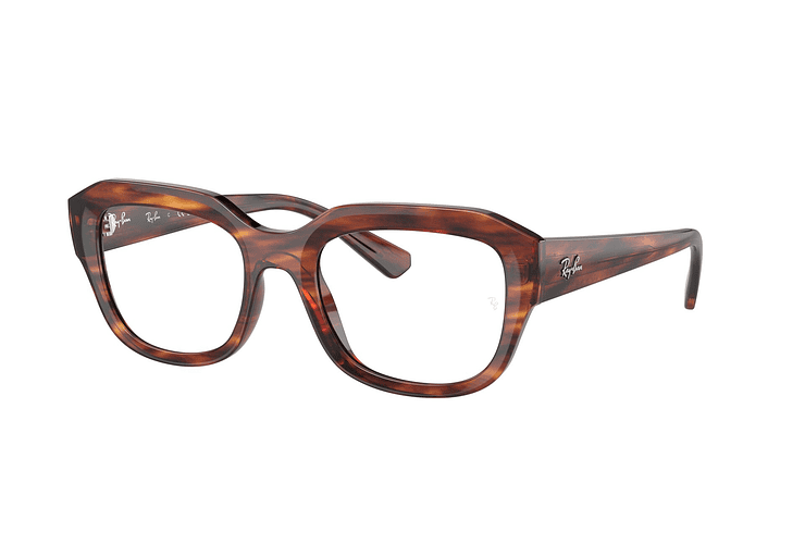 Ray-Ban Leonid RX7225 