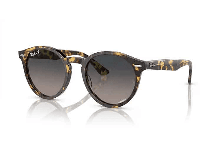 Ray-Ban Larry RB7680S 