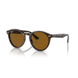 Ray-Ban Larry RB7680S 