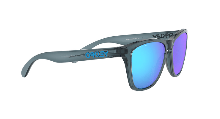 Oakley Frogskins Polarizado y Prizm - Image 10