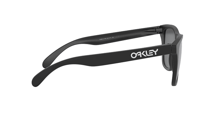 Oakley Frogskins Polarizado y Prizm - Image 9