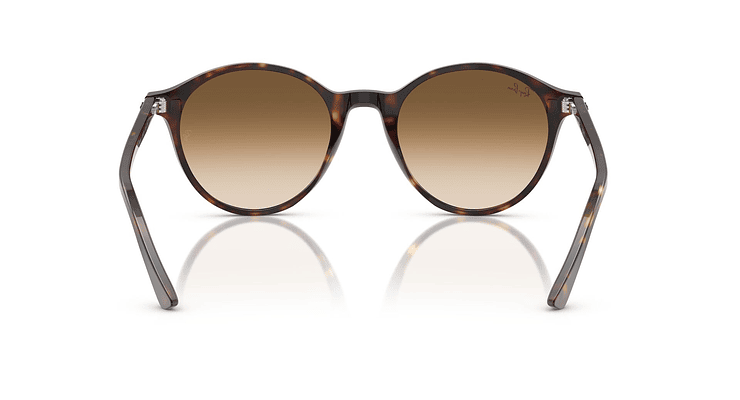 Ray-Ban Bernard RB2230 - Image 3