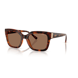 Vogue Eyewear  VO5613SB