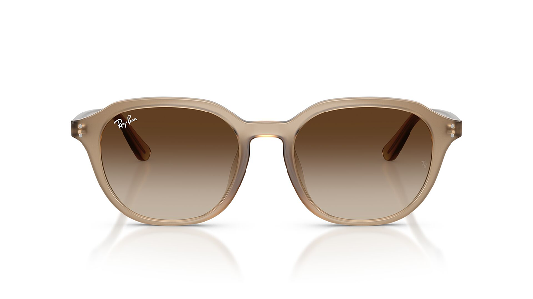 Ray-Ban RB4459D 6