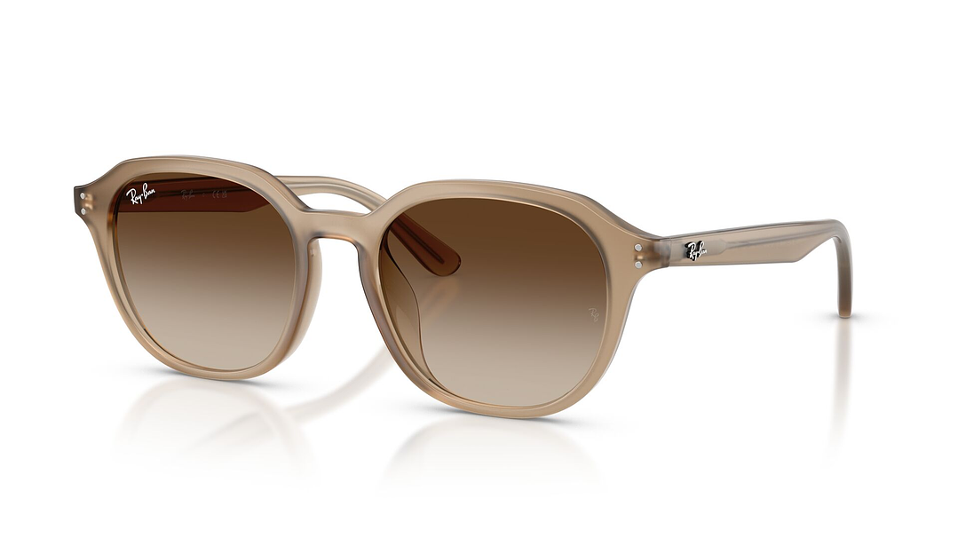 Ray-Ban RB4459D 1