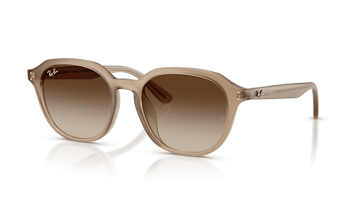 Ray-Ban RB4459D 1