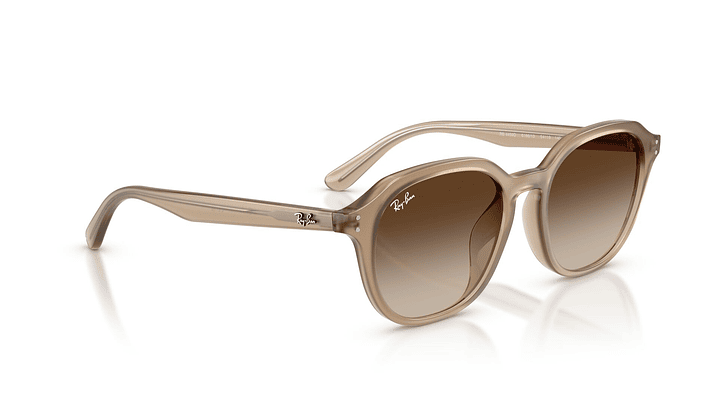 Ray-Ban RB4459D 4