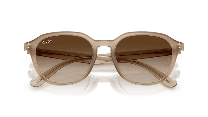 Ray-Ban RB4459D 5