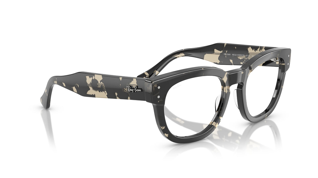 Ray-Ban Mega Hawkeye 4