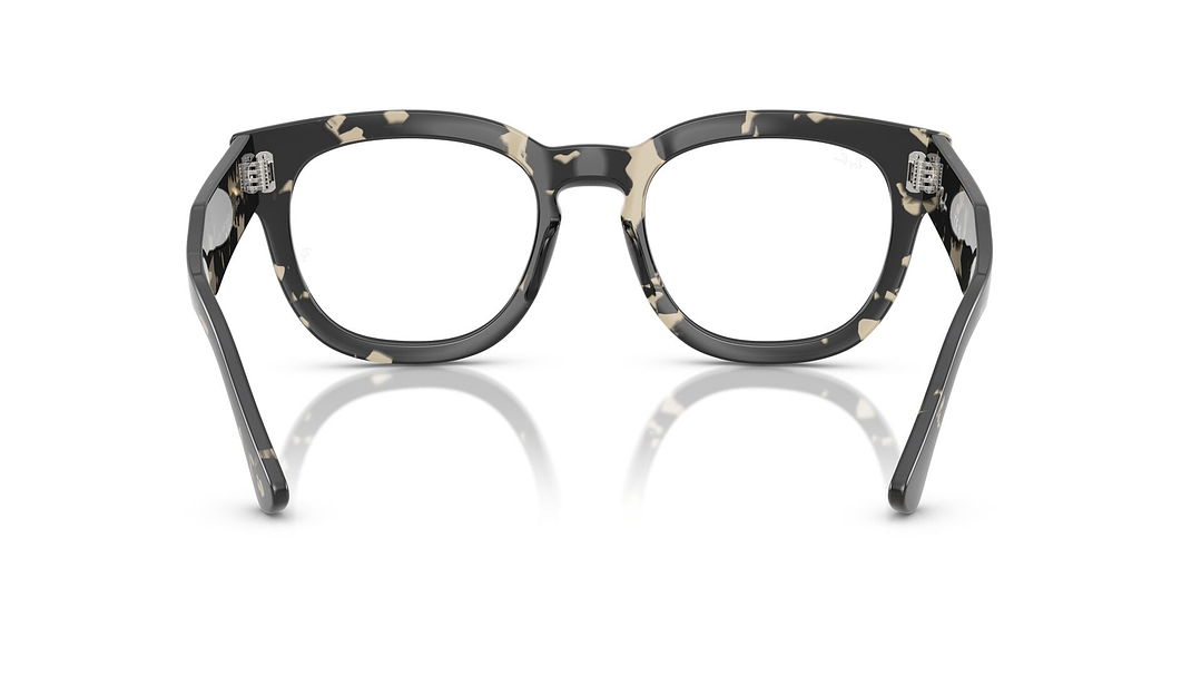 Ray-Ban Mega Hawkeye 3