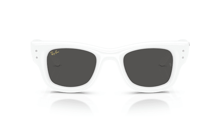 Ray-Ban Wayfarer Puffer RB4940B 686387 47 6