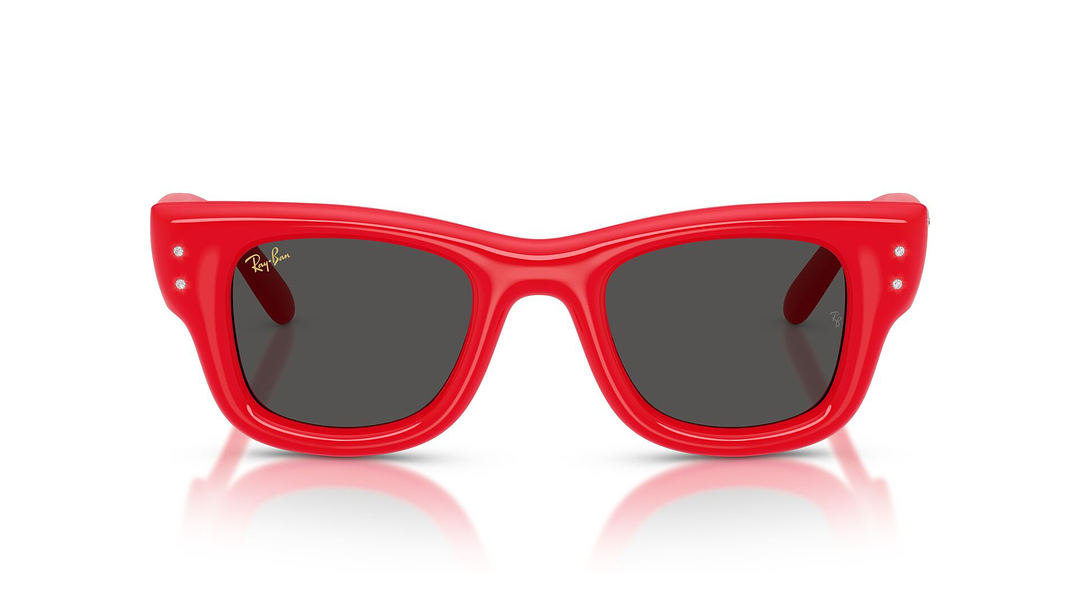 Ray-Ban Wayfarer Puffer RB4940B 686187 47 6