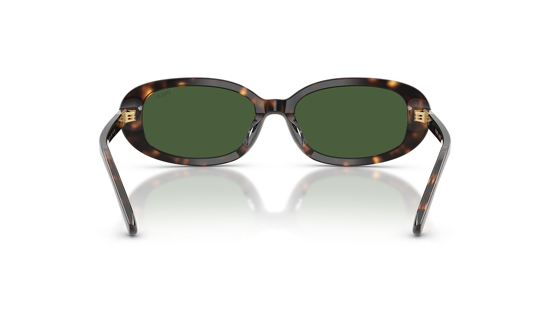 Polo Ralph Lauren PH4198U 500371 53 3