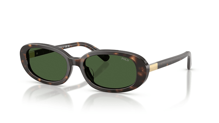 Polo Ralph Lauren PH4198U 500371 53 1