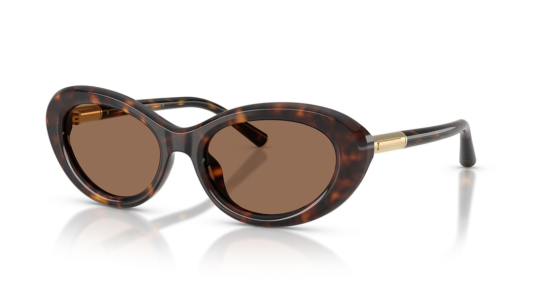 Dolce & Gabbana DG4519 502/73 54 1