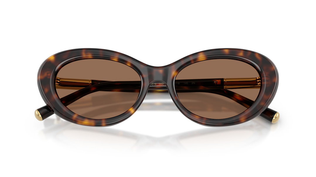 Dolce & Gabbana DG4519 502/73 54 4