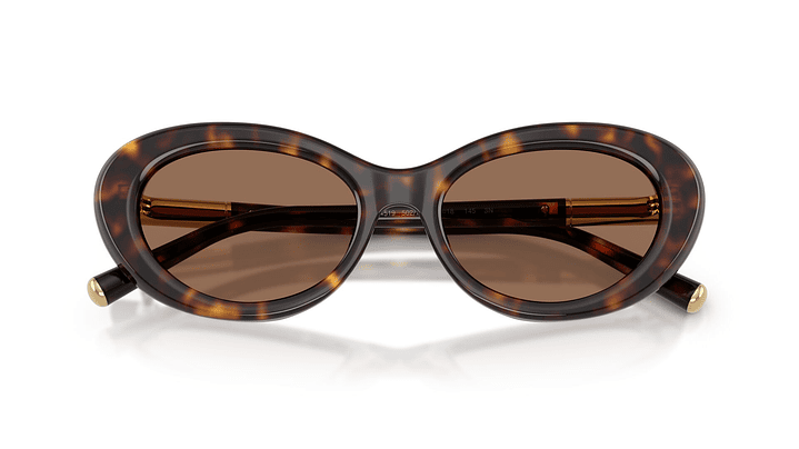 Dolce & Gabbana DG4519 502/73 54 4