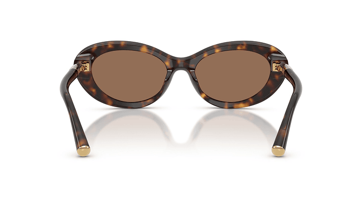 Dolce & Gabbana DG4519 502/73 54 3