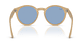 Ray-Ban RBR0505S 678072 52 - Miniatura 3