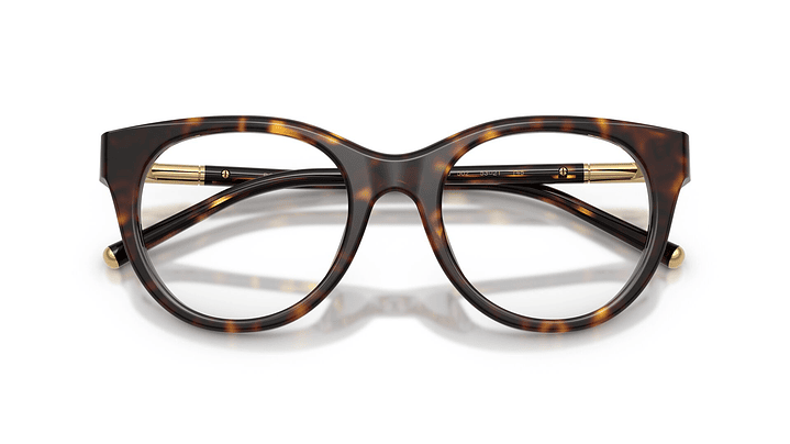 Dolce & Gabbana DG3433 502 53 4