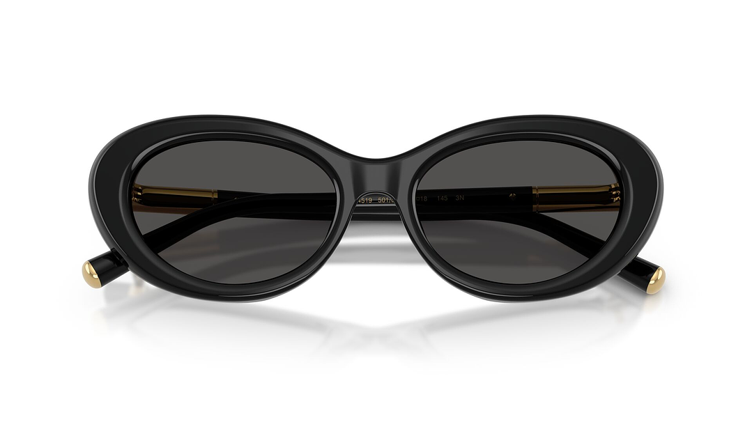 Dolce & Gabbana DG4519 501/87 54 4