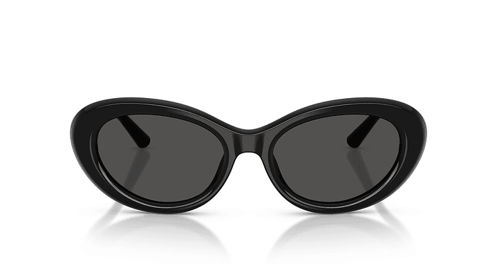 Dolce & Gabbana DG4519 501/87 54 5