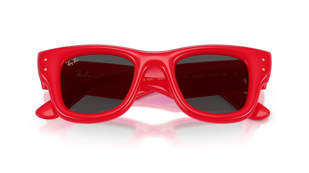 Ray-Ban Wayfarer Puffer RB4940 683187 50 5