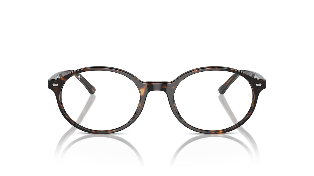 Ray-Ban German RX5429 2012 53 6