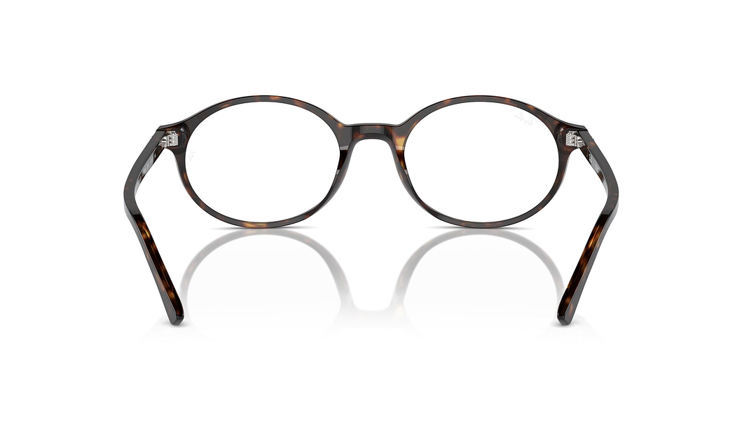 Ray-Ban German RX5429 2012 53 3