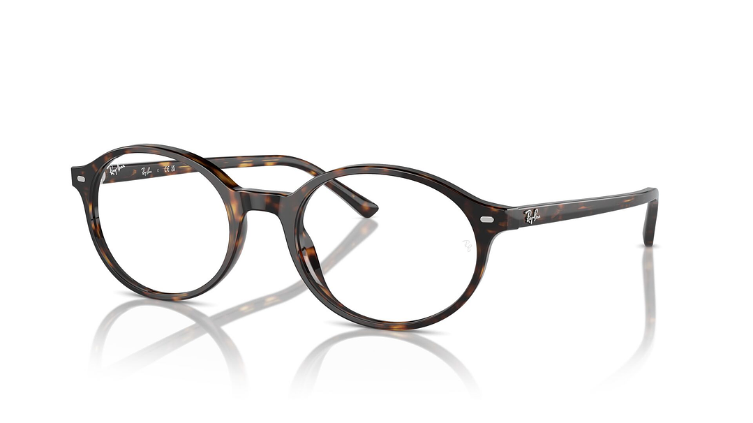 Ray-Ban German RX5429 2012 53 1