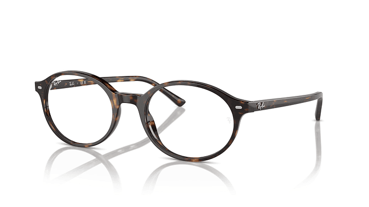 Ray-Ban German RX5429 2012 53 1