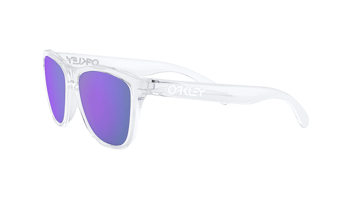 Oakley Frogskins Prizm 2