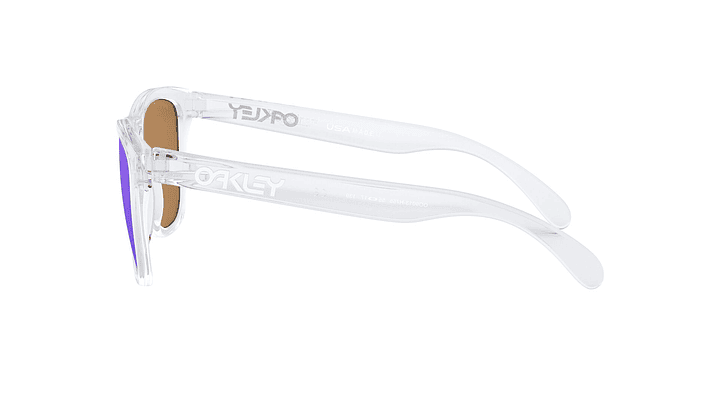 Oakley Frogskins Prizm 3